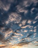 Анкета проститутки Светлана - метро Останкинский, возраст - 22